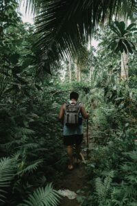 Explore the tropical beauty of Maasin City with a hiker adventuring through a verdant forest trail.