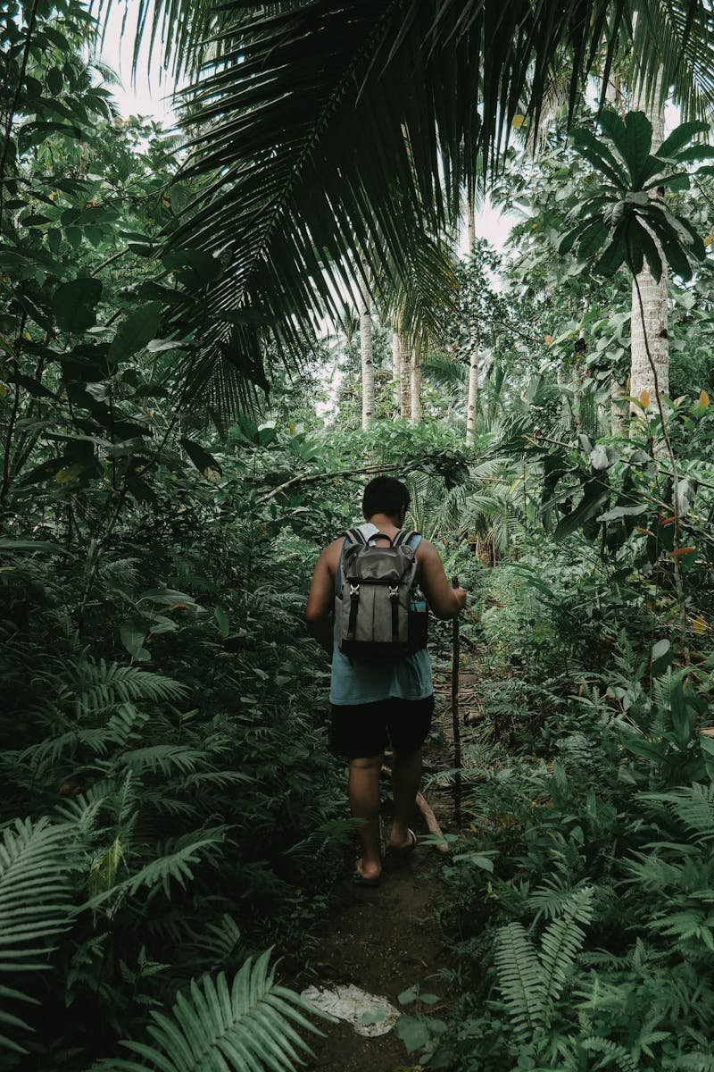 Explore the tropical beauty of Maasin City with a hiker adventuring through a verdant forest trail.